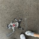 뉴욕필라테스 - 남구 대남대로 388 | 뉴욕필라테스