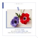 아도니스프로젝트 이미지