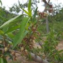 동화농약사 이미지