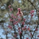 덕이네 손수제비 이미지