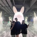 돌섬아구찜 | 당일치기 여수 여행 2편 여수아르떼뮤지엄오션 복춘식당 스타벅스 더여수돌산점 코스 후기