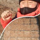 예향농원 제2농장 이미지