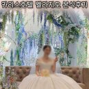 3월헤어 | 인천 카리스호텔 웨딩컨벤션 벨라지오가든 26년 3월 본식후기 내돈내산 정말 솔직한 장단점 정리
