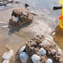 둘레길펜션청솔 이미지