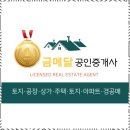금메달공인중개사사무소 이미지