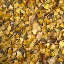 타이어은행 이미지