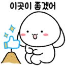 어진동_엠브릿지 이미지