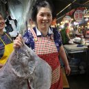 대인홍어 이미지