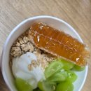 요거트 아이스크림의 정석(진접점)