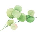 다나소아청소년과의원 이미지