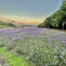 상림수산 이미지