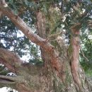 생장경로당 이미지