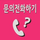 개네가 고양이네 이미지