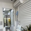 트레벨애견미용 | [반려견] 하남 신장동 애견 미용 잘하는 곳 트레벨 애견 미용샵 후기