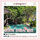 사누르 하얏트 리젠시 시설 후기! 체크아웃 후에도 즐긴 리조트 수영장