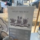 파로마에디션 | 황리단길 가볼만한 곳 경주 미피스토어 방문