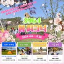 피크닉 테마파크 이미지