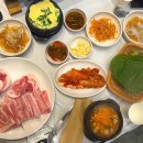 겹살박이