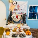 하이멍뭉 이미지