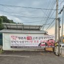 산삼배양근삼계탕다도해 | [경기도 광주 맛집] 양촌옥 :: 보약 삼계탕 &amp; 산삼배양근 삼계탕 포장 후기