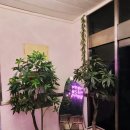 서림모텔 이미지