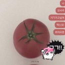 국제엑스포노래연습장 | 오사카 엑스포 다녀온 후기