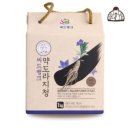 씨드 뱅크 쇼핑하우