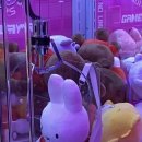 소소한뽑기 이미지