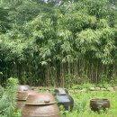 스테이 용연 이미지