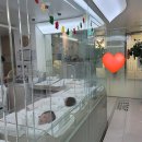 마미맘스산후조리원 이미지