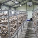 수2 태양광발전소 이미지