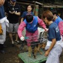 대로농장 이미지