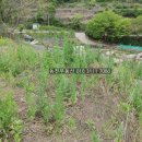 진전면101 이미지