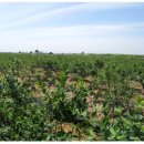 주희농장 이미지