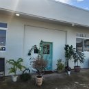 빈티지제주 이미지