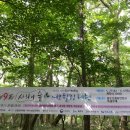 에코힐링 이미지