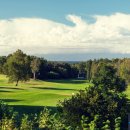 금잔디 골프 클럽 이미지