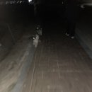 달려라카센타 이미지