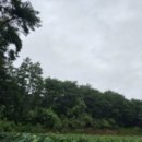 도천2리마을회관 이미지