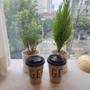 cu 영덕해맞이휴게소점 이미지