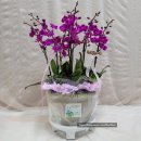 구지면 행정복지센터 이미지