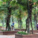 부천중앙공원 이미지