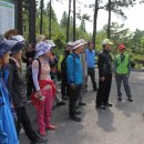 산과 들의 약용식물 이미지