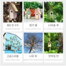 (주)둥지디자인 | 새장 둥지 장식으로 집안을 특별하게 꾸며보세요