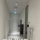 비비안웨스트우드신세계대전