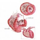 로잔동물의료센터 이미지