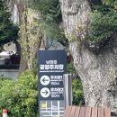 남원읍사무소 주차장 옆 네이버블로그