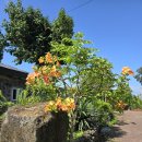 수룡동경로당 이미지