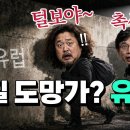 김어준 유시민 해외도피 준비중 ? 이미지