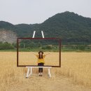 청미천 6 이미지